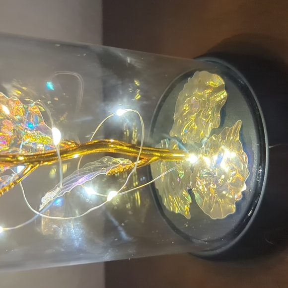 LED Light Up Iridescent Rose Of Love Gold Leaves Glass Dome 7" - Picture 3 of 9